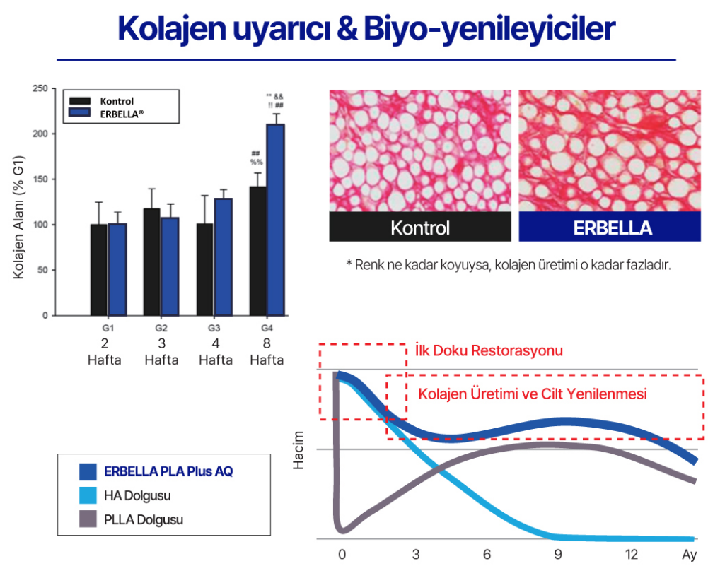 kolajen-uyarici-biyo-yenileyiciler